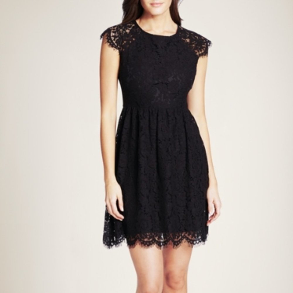 Kensie Floral Lace Fit and Flare Dress
